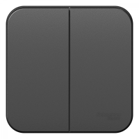 Выключатель BLANCA двухклавишный наружный (схема 5) с изоляционной пластиной 10A 250B антрацит Systeme Electric BLNVA105016