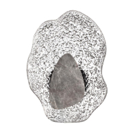 Настенный светильник Odeon Light L-Vision Coralla 5461/12WLB