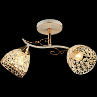 Потолочный светильник Reluce 03201-0.3-02