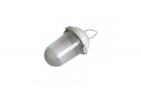 Подвесной светильник ЭРА НСП 02-100-001 Б0052017