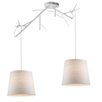 Подвесная люстра Simple Story 1137-2PL