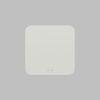 Конвертер WiFi-Zigbee/BLE для умного дома Denkirs Zigbee Control DK7402-WF