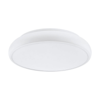 Потолочный светодиодный светильник Eglo Riodeva-C 98045