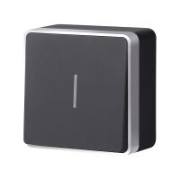 Выключатель одноклавишный с подсветкой Werkel Gallant (черный с серебром) W5010134 4690389163838 a051150