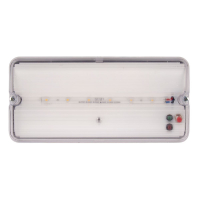 Светильник пылевлагозащищенный Uniel ULW-K25B 6W/4000K/EMG IP65 WHITE UL-00013352