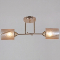 Потолочный светильник Reluce 51460-0.3-02 FG