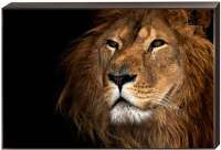 Постер на подрамнике Toplight 60х90х4см TL-D4042