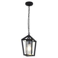 Уличный подвесной светильник Feron Лозанна PL775 51837