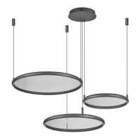 Подвесная люстра мультиплекс Lussole Custer LSP-7424