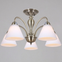 Потолочная люстра Reluce 52787-0.3-05