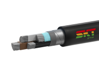 СКТ Групп (Псков) 