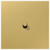 Центральная плата, 1 пост, 1 тумблер, цилиндр; металлическое исполнение; латунь классик; серия LS Jung ME12-0CR25