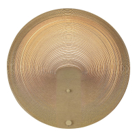 Настенный светильник ST Luce Fossil SL6900.501.16