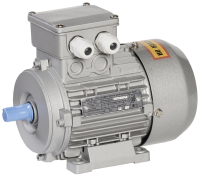 Электродвигатель однофазный АИР2Е 80C2 220В 2.2кВт 3000об/мин 1081 ONI ONP080-C2-002-2-3010