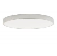 Потолочный светильник Zortes Tortty ZRS.02565.96