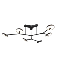 Потолочная люстра Favourite Paritet 4401-6C