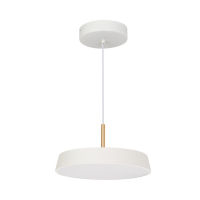 Подвесной светильник Arlight SP-Elegant-R300-17W Day4000 033919