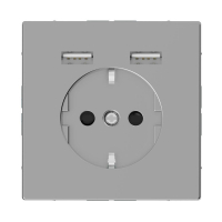 Розетка компьютерная USBx2 Schneider Electric Merten D-Life MTN2366-6036