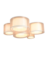 Потолочный светильник Moderli Massa V11398-5C