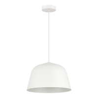 Подвесной светильник Evoluce Blank SLE1805-503-01