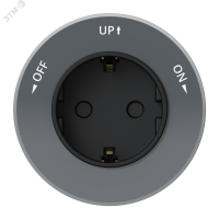 MultiTrack Розетка 2К+З круглая 16А/250В Графит Systeme Electric MTK13001G