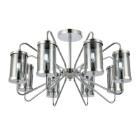 Потолочная люстра EVOLUCE VALIERI SLE102302-08 Evoluce