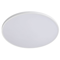 Настенно-потолочный светильник Lightstar Arco Eco 225750