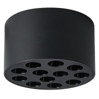 Потолочный светильник Lightstar Guarda 080947