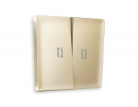 Лицевая панель для выключателя двухклавишного с подсветкой Ambrella Volt Alfa AP6040