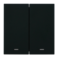 Выключатель 2-клавишный c индикатором (механизм) Stekker Мия 250В 10А RSW10-3102-05 черный бархат 50446