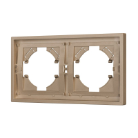 Рамка пластиковая на 2 поста Arlight FRM-TENDO-PL-2-GD 053842