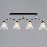 Потолочная люстра Reluce 77320-0.3-04 CH+BK