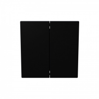 Выключатель двухклавишный проходной 10A 250V~ с накладкой (soft touch) Jasmart FD3022PBM