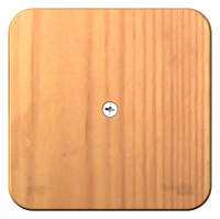 BLANCA  коробка распределительная, ясень Systeme Electric BLNRK000015