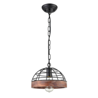 Подвесная люстра Vele Luce VL6042P01