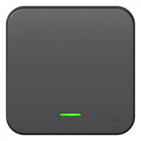 Выключатель одноклавишный наружный BLАNCА (cх.1) с подсветкой, с изолирующей пластиной, 10А, 250В, антрацит Systeme Electric BLNVA101116