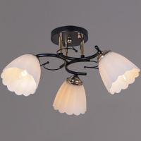 Потолочная люстра Reluce 10134-0.3-03 BK+FG