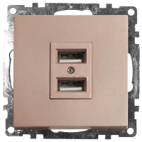 Розетка USB 2-местная Stekker Катрин 39602