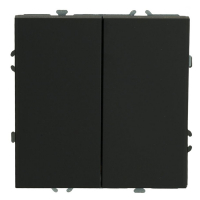 Выключатель 2-клавишный Stekker Эмили RSW10-5104-10ZK 50247