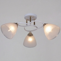 Потолочный светильник Reluce 04360-0.3-03 WH+FG