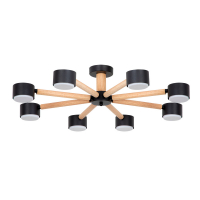 Потолочные люстры Arte Lamp Tenda A1624PL-8BK