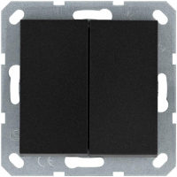 Выключатель 2-кл. Jasmart 10А G3023B