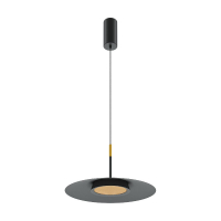 Подвесной светильник Maytoni El MOD041PL-L15B3K1