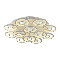 Потолочная светодиодная люстра F-Promo Roundels 2292-12U