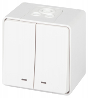 Выключатель двойной с подсветкой Эра Elegance Эксперт 11-1505-01 Б0063282