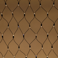 Светодиодная гирлянда Эра ERAPS-SKW2 Б0051898