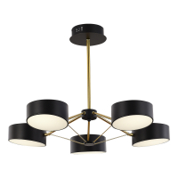 Потолочный светильник Evoluce Valle SLE6005-402-05