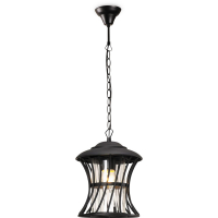 Уличный подвесной светильник Feron PL525 11620