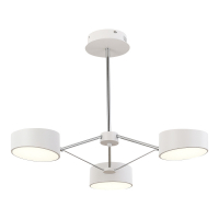 Потолочный светильник Evoluce Valle SLE6005-502-03