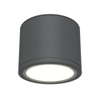 Накладной светильник Maytoni Rendo C095CL-GX53-GR